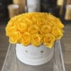 Yellow roses arranged in a white round box