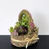 The sweetest little succulent basket styled in soft burlap with natural moss