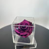 A single forever rose sits in a custom acrylic box. This petit