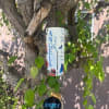 Memorial wind chime with angel-themed text and butterflies hanging from a tree branch