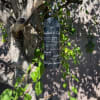 Black memorial wind chime hanging from a tree