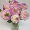 Pink and white dahlias arranged in a clear glass vase