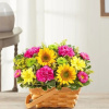 Bright basket arrangement of yellow sunflowers, pink carnations, and yellow and green mums.