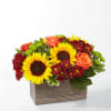 Low rectangular arrangement with yellow sunflowers, orange roses, and red mums in a wood box.