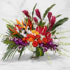 A bold and vibrant tribute, this stunning tropical arrangement is designed to