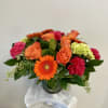 Elevate your space with the vibrant allure of the Wowy Zowy flower
