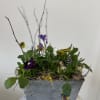 Bring the beauty of the outdoors inside with charming "Violets are Blue"