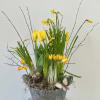 Transform your space into a vibrant oasis with the Fragrant Spring Garden