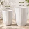 Two white ribbed ceramic planters in different sizes