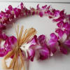 This graduation classic is full of Purple and White Orchids. Perfect for