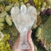 Hand holding a clear crystal angel figurine in front of a moss wall