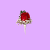 1 rose boutonniere, babies breath and greens 