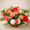 Basket arrangement of coral roses, red gerberas, and white carnations