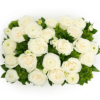 White rose arrangement with green filler on a white background