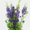 Tall bouquet of purple flowers with bright green stems