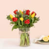 A rainbow of tulips
Standar -12 
Deluxe - 18
Premium -24