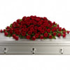 Red rose casket spray on a silver casket