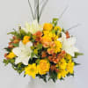 Sunshine Blaze greets them like a burst of daylight-perfect as a cheerful