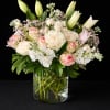 Soft cream and blush roses mingle with fragrant white lilies in this