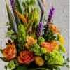 Bold orange roses and soaring bird of paradise blooms create a sunlit