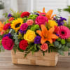 A sunlit burst of color-this low, woven basket arrangement is packed with
