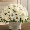 A soft, rounded dome of white roses, daisy-like blooms, and carnations creates