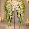 A sweeping pair of angel wings formed entirely from cascades of white