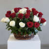 Basket of red and white roses on a white pedestal