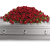 Red roses arranged on a silver casket