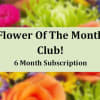Flower of the Month Club 6 Month Subscription text over a blurred floral background