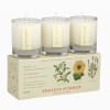 The best-selling Plant The Box candles are now available as votive trio