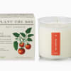 Ripe, succulent tomato amid an herbaceous accord of wild clover, fresh herbs