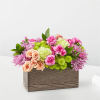 Mixed pink and peach flowers in a rectangular wooden box