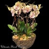 A stunning fusion of elegance and earthiness, Nature&rsquo;s Harmony by Ultimate Floral