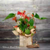 Tropical floral arrangement with red blooms in a birch-style container