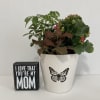 Beautiful Butterfly Ceramic pot with flowering plant and Mom sign 