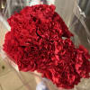 Bouquet of red carnations wrapped in clear plastic