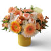 Send this beauty today to make them overjoyed with it's lovely peach