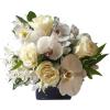 Cream roses and white orchids in a dark vase