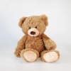 Plush teddy bear sitting against a white background