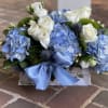 A calming blend of blue hydrangeas, white roses, and accent florals nestled