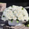 White rose arrangement in a textured white vase