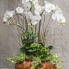 White orchid arrangement in a brown ceramic planter