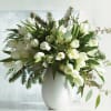 White tulips arranged in a white vase with evergreen foliage