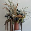Tall dried floral arrangement in a terracotta vase with trailing elements