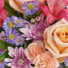 Close-up bouquet of peach roses, pink carnations, and purple daisy-like flowers