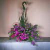 A lovely display of annuals designed to drape and add color to