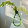 White orchids and green anthuriums in a clear glass vase