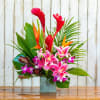 Tropical flower arrangement with pink lilies and red ginger in a square vase