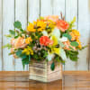 Capture the warm glow of a California evening with the Rancho Sunset